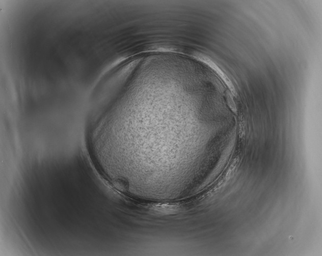 X0000103251139200809111610