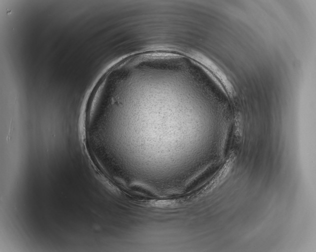X0000103251140200809111610