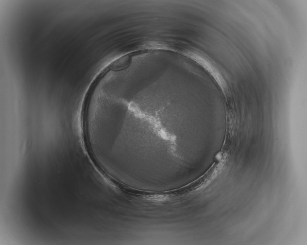 X0000103251141200809111610