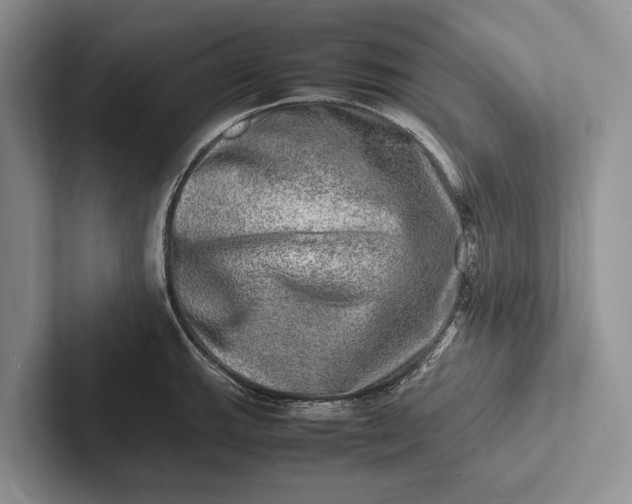 X0000103251143200809111610