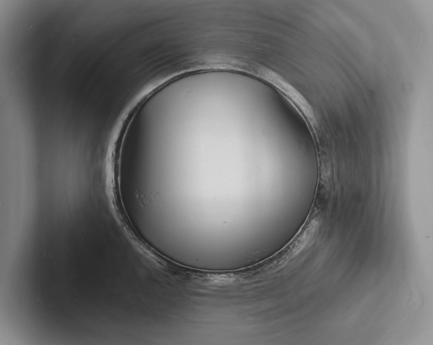 X0000103251144200809111610