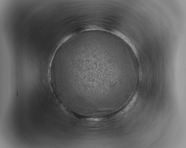X0000103251145200809111610