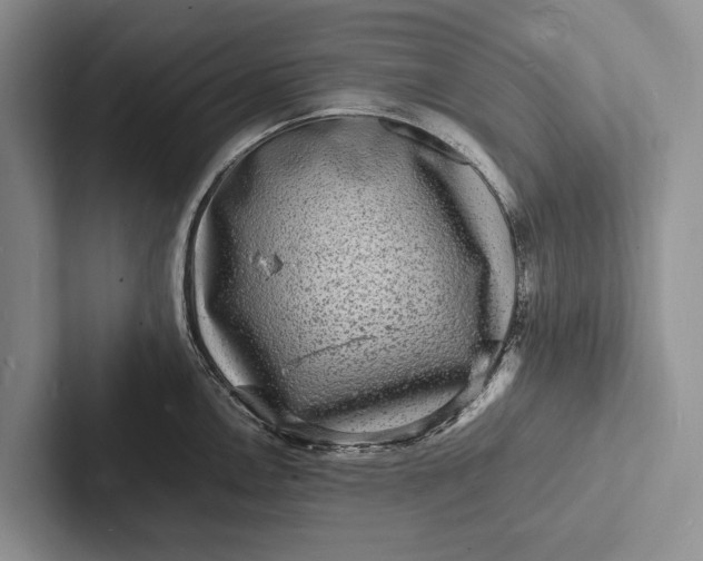 X0000103251146200809111610