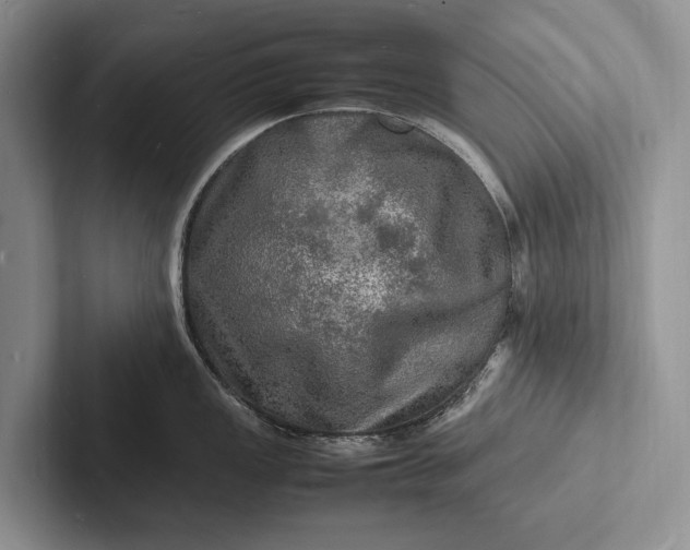 X0000103251149200809111610