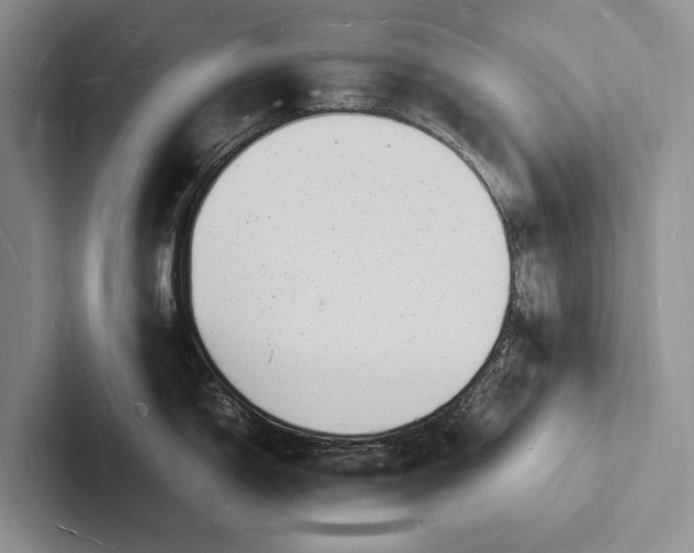 X0000103251150200809111610