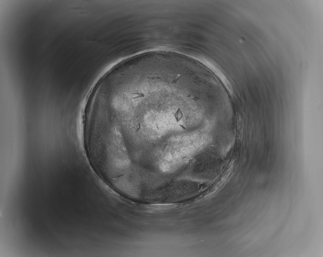 X0000103251151200809111610