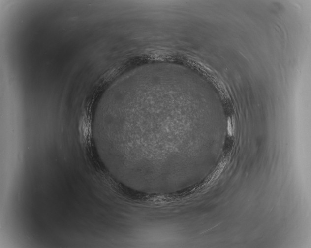 X0000103251155200809111609