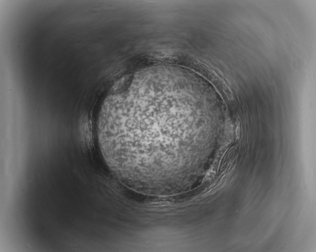 X0000103251156200809111609