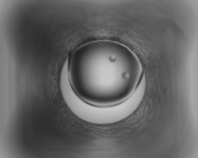 X0000103251157200809111609