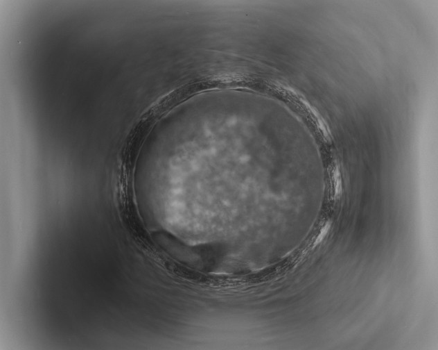 X0000103251158200809111609