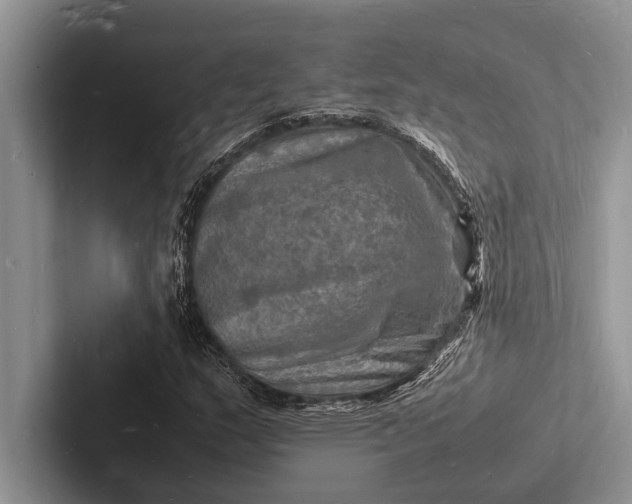 X0000103251159200809111609