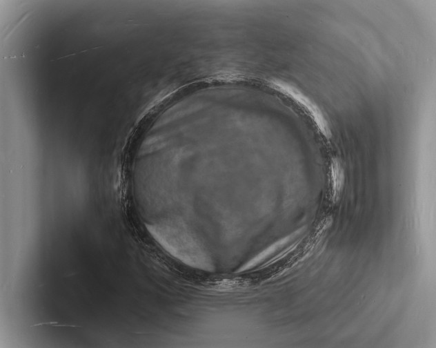 X0000103251160200809111609