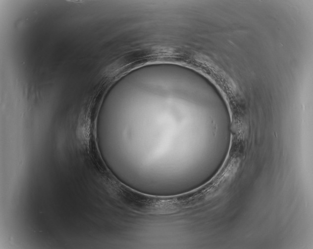 X0000103251161200809111609
