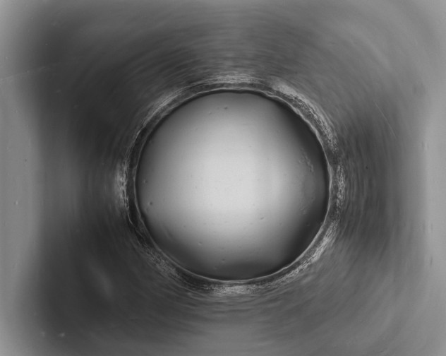 X0000103251162200809111609