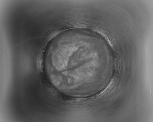 X0000103251163200809111609