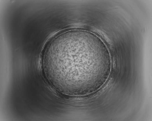X0000103251164200809111609