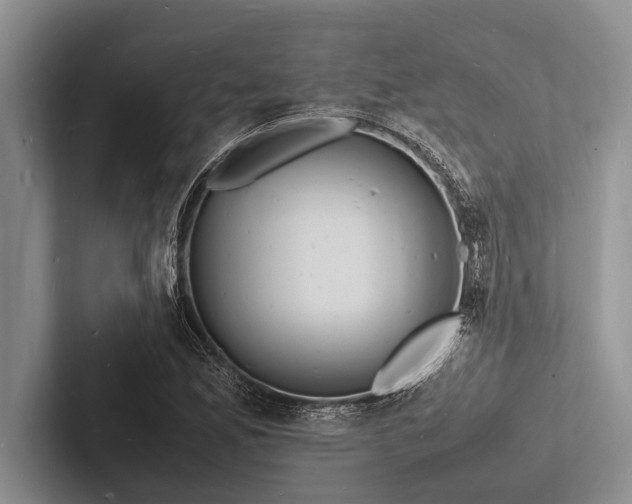 X0000103251165200809111609