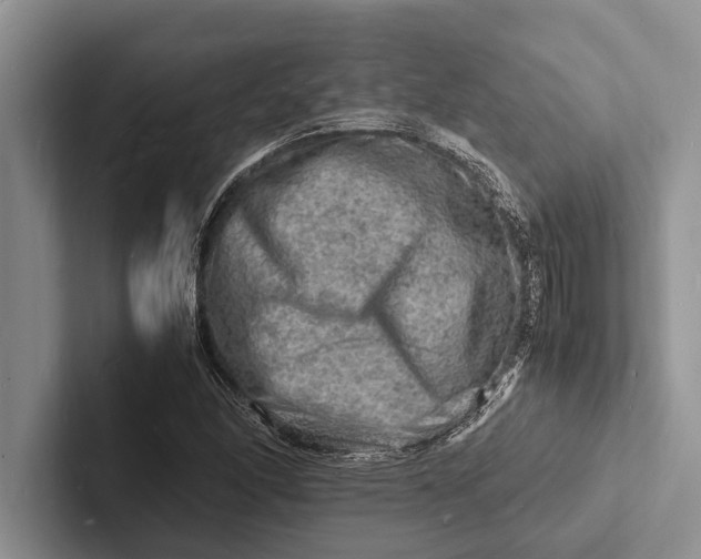 X0000103251166200809111609