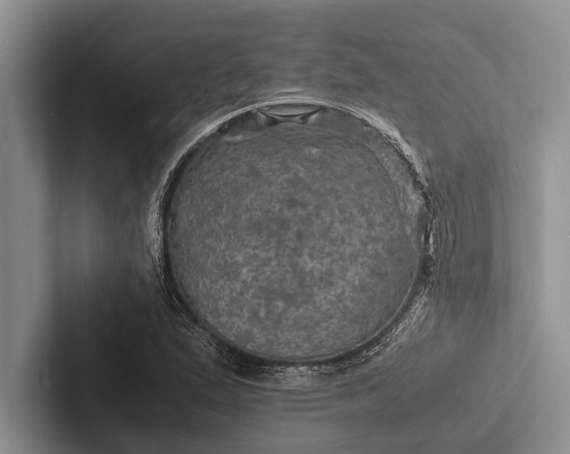 X0000103251167200809111609