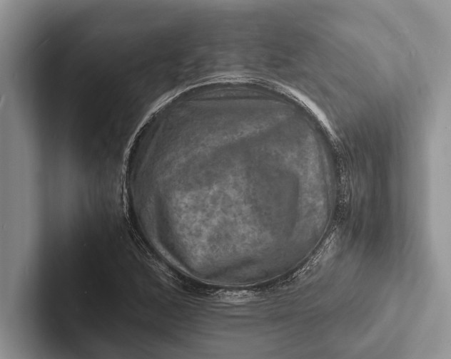 X0000103251168200809111609