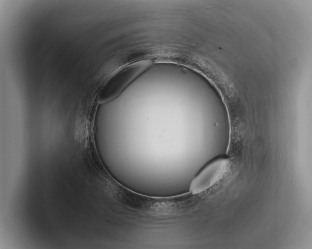 X0000103251169200809111609