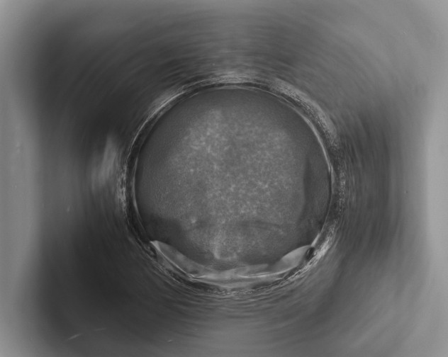 X0000103251170200809111609