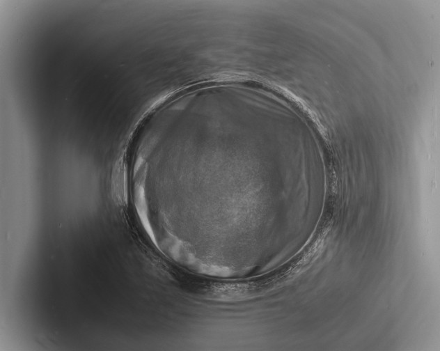 X0000103251171200809111609