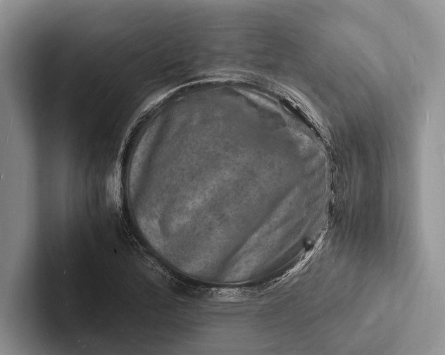 X0000103251172200809111609