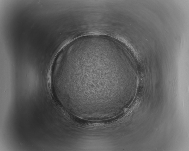 X0000103251173200809111609