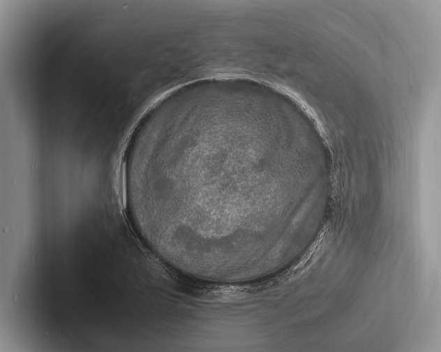 X0000103251175200809111609