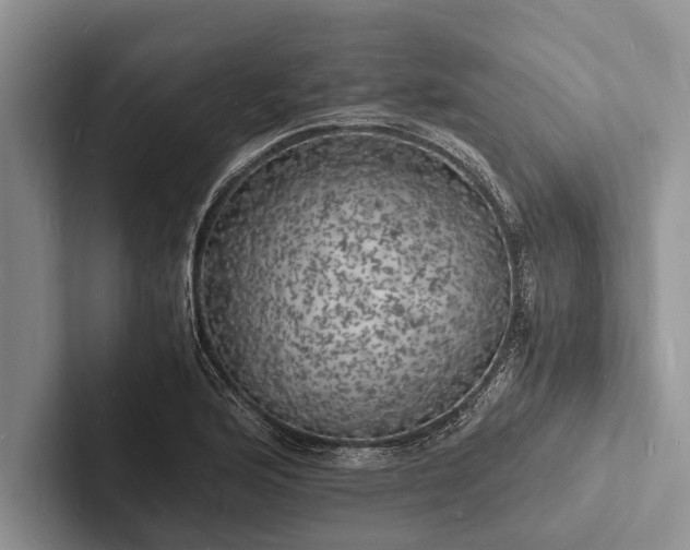 X0000103251176200809111609