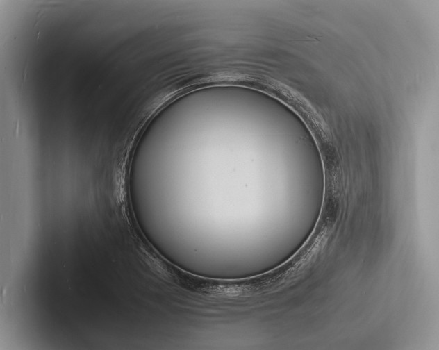 X0000103251177200809111609