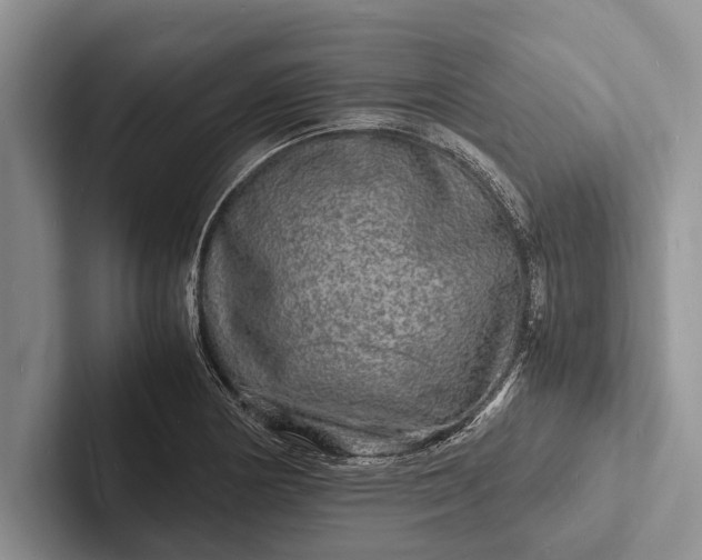 X0000103251178200809111609