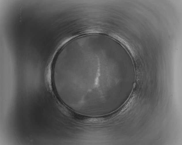 X0000103251179200809111609