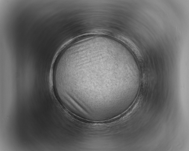 X0000103251180200809111609
