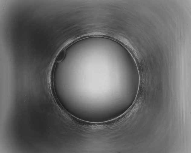 X0000103251181200809111609