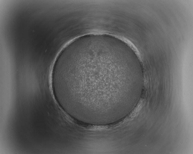 X0000103251183200809111609