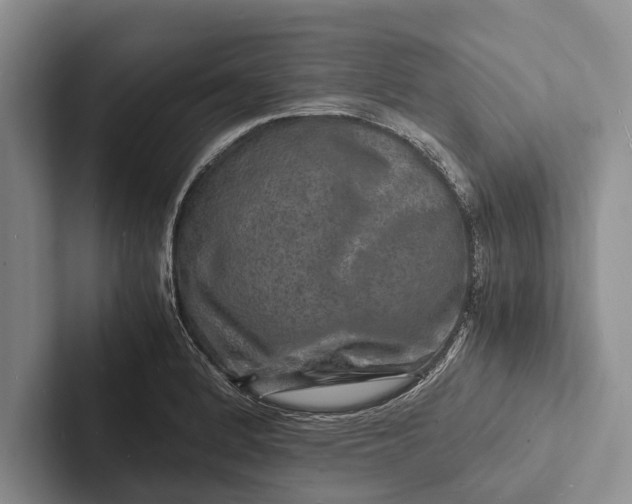 X0000103251184200809111609