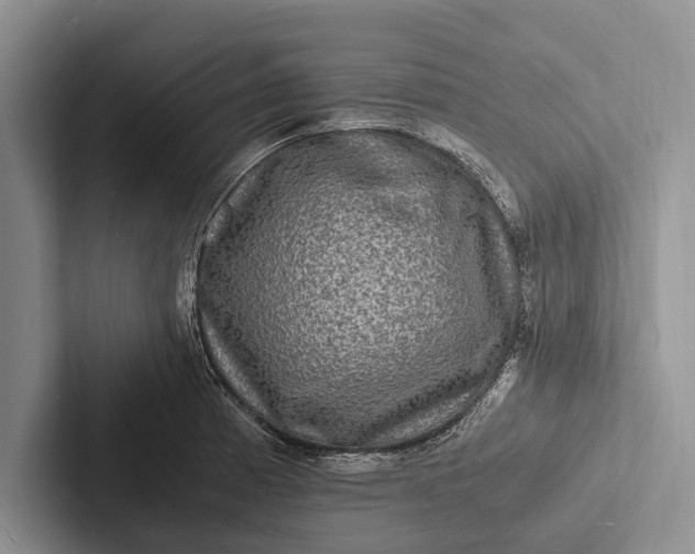 X0000103251185200809111609