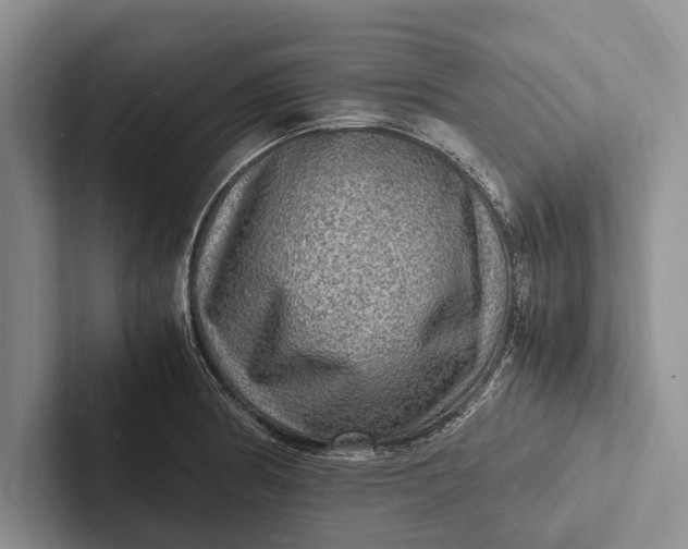 X0000103251186200809111609