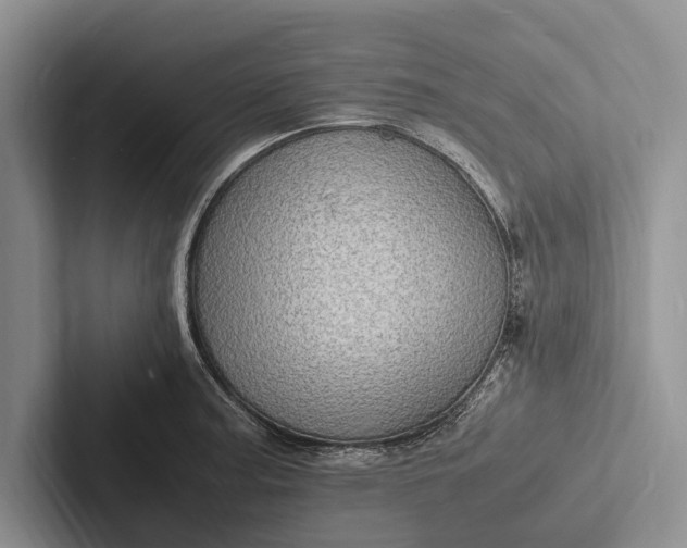 X0000103251187200809111609