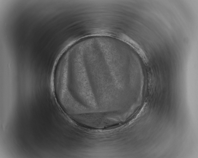 X0000103251188200809111609