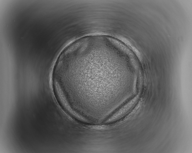 X0000103251189200809111609