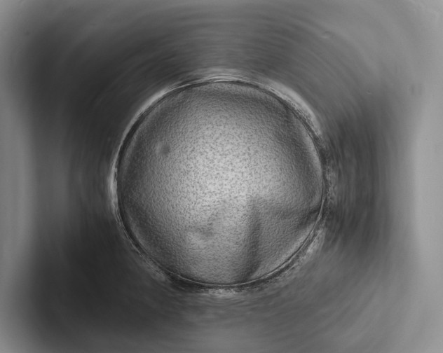 X0000103251190200809111609