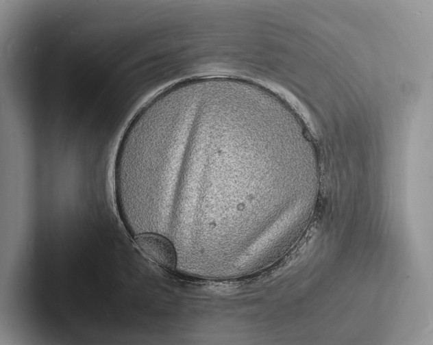 X0000103251191200809111609