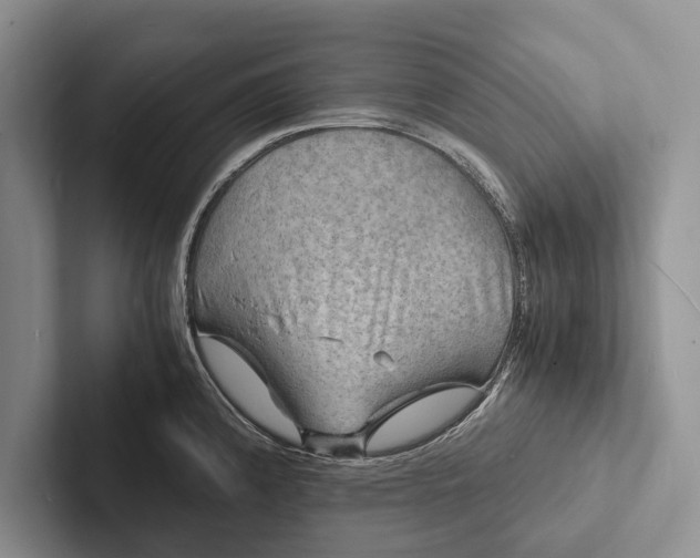 X0000103251192200809111609
