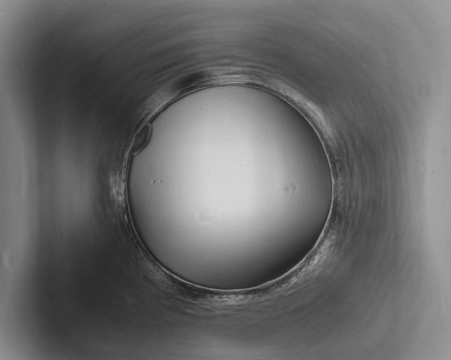 X0000103251193200809111609