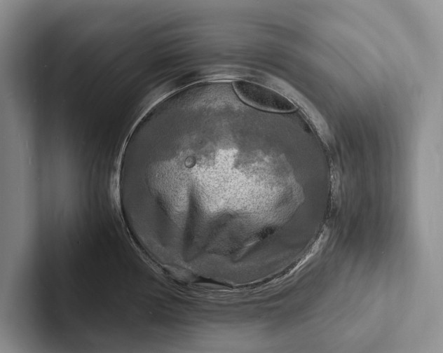 X0000103251194200809111609