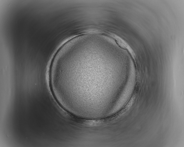 X0000103251195200809111609