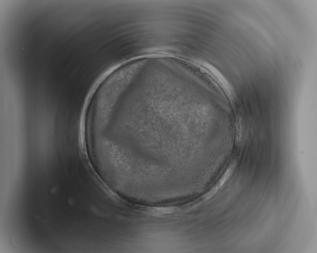 X0000103251196200809111609